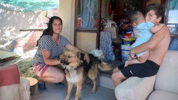volvio la calma al barrio de los perros muertos por veneno