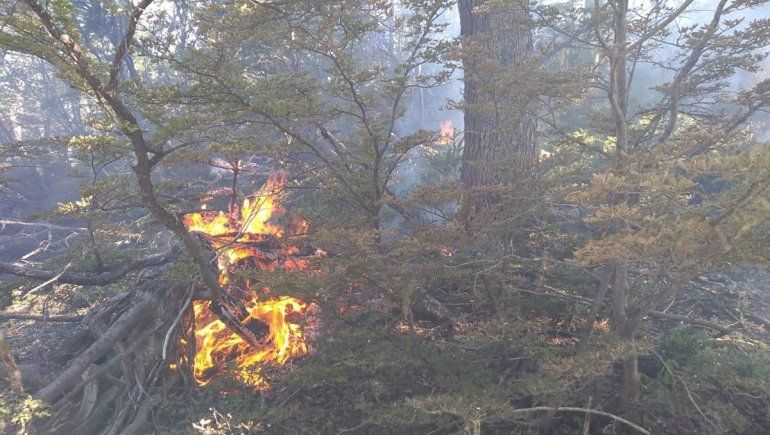 Un incendio afectó el cerro Chenque-Co cerca de Moquehue