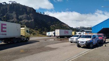 repatriados-neuquen-pino-hachado1.jpg