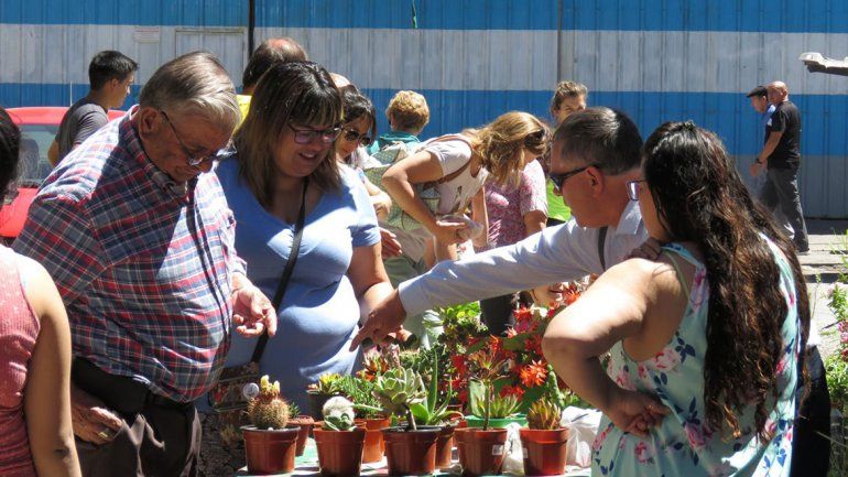 Una propuesta sana y bien artesanal: la feria agroecológica