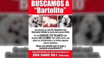 Bartolito recompensa.jpeg