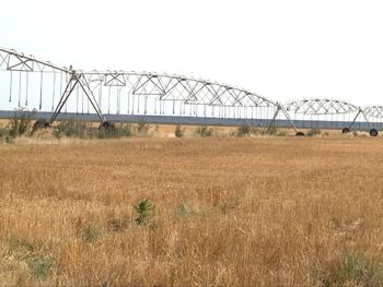 hay un reactor nuclear en los campos del norte de la patagonia hay un reactor nuclear en los campos del norte de la patagonia