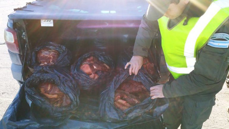 Lo atrapan llevando 300 kilos de carne en la caja de la camioneta