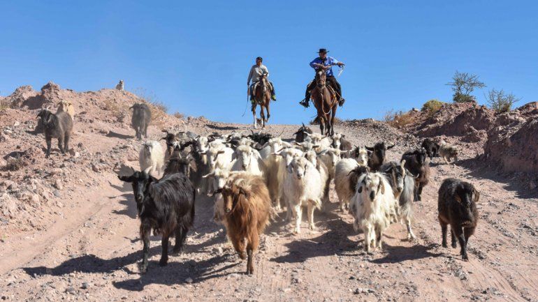 Nacido hace 67 años en Bajada del Agrio