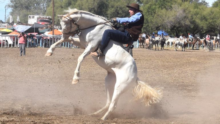 Picún Leufú y su desafío internacional de jineteadas en la Fiesta del Chacarero