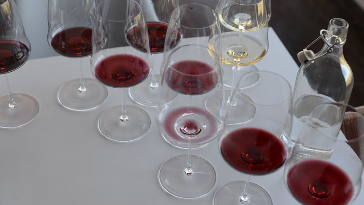 Cabernet Franc es una de las cuatro variedades que más creció en la Argentina en los últimos 10 años.