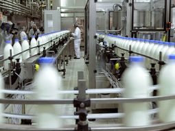 La cooperativa SanCor se encuentra sumergida en una profunda crisis estructural. La cooperativa SanCor se encuentra sumergida en una profunda crisis estructural.