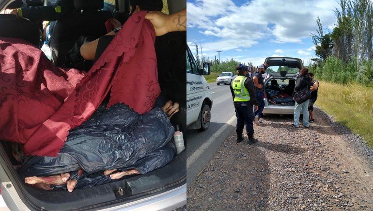 Intentó entrar a Cipolletti con 17 chivos faenados y lo atraparon