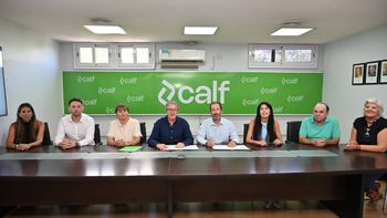 cuales son los nuevos beneficios a los que podran acceder los asociados de calf cuales son los nuevos beneficios a los que podran acceder los asociados de calf