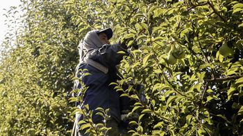 Aunque algo tarde, llega el crédito que es un alivio para los productores.