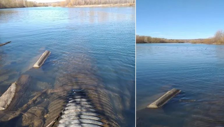 Qué dijo el EPAS sobre el vertido cloacal sin tratar al río Limay