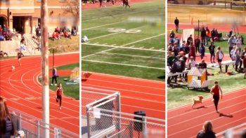 adorable: un perro se colo en una carrera, tuvo una remontada increible y termino ganando adorable: un perro se colo en una carrera, tuvo una remontada increible y termino ganando