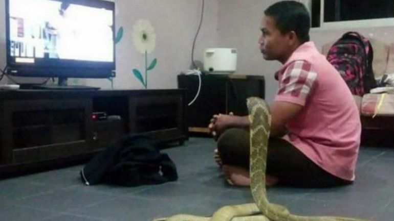 La foto de la feliz pareja. Se la sacó el vecino que contó la historia.