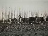Valentina Sur y su pasado como colonia rural