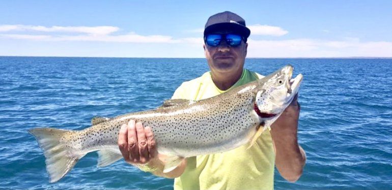 La trucha medía 76 centímetros. una pieza exclusiva de la cordillera.