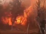 Un brigadista filmaba un foco de incendio en la zona de Atilio Viglione cuando las llamas avanzaron de golpe.  