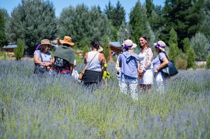 El Festival “Cosecha de la Lavanda” fue organizado por el emprendimiento “Lavandas del Limay”. El Festival “Cosecha de la Lavanda” fue organizado por el emprendimiento “Lavandas del Limay”.