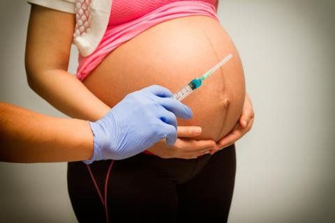 COVID-19: Pfizer comenzó pruebas de su vacuna en embarazadas COVID-19: Pfizer comenzó pruebas de su vacuna en embarazadas