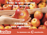 Una nueva variedad que ya está posiconada en Francia e ingresó en todo el mercado europeo.