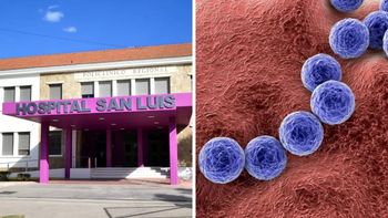Streptococcus pyogenes.jpg