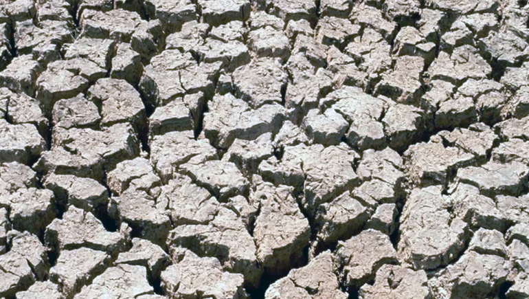 Tauro, Virgo y Capricornio son los tres signos regidos por el elemento tierra. Tauro, Virgo y Capricornio son los tres signos regidos por el elemento tierra.