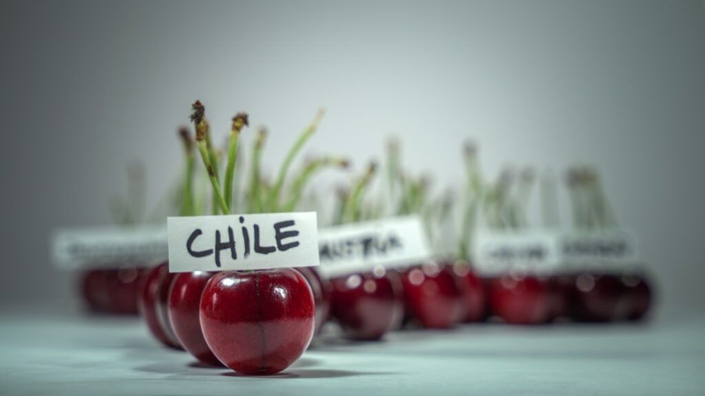 Comenzó la batalla legal por la pérdida de los 1.300 contenedores de cerezas chilenas