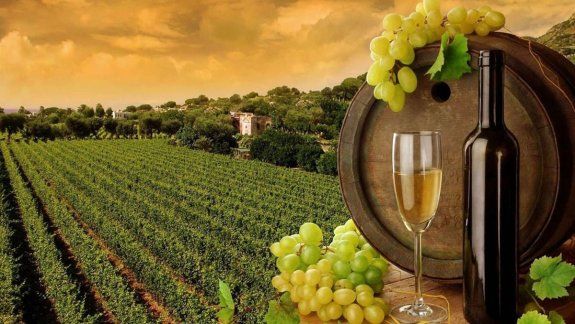 Torrontés de  sur a Norte:  las muchas caras de la uva  más criolla