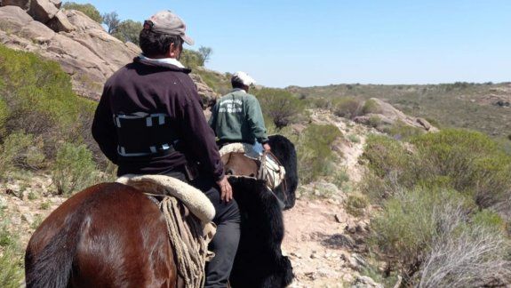 Se pelearon por las vacas y terminaron a los tiros: hay un muerto