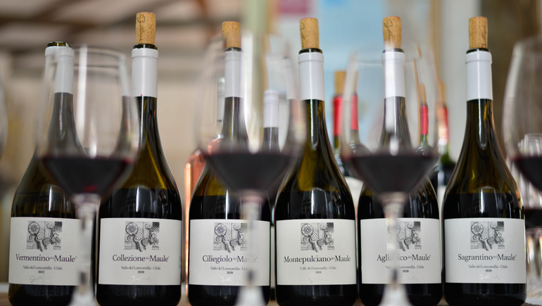 Los grandes ausentes del vino argentino