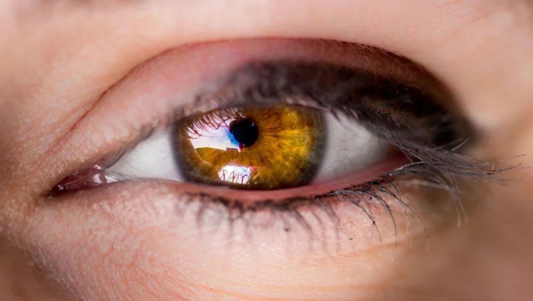El color de ojos es único, igual que la huella digital