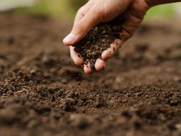 cientificos de argentina y chile desarrollan suelos en un chip cientificos de argentina y chile desarrollan suelos en un chip