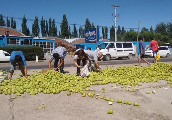 Productores tiraron toneladas de fruta sobre la Ruta 22