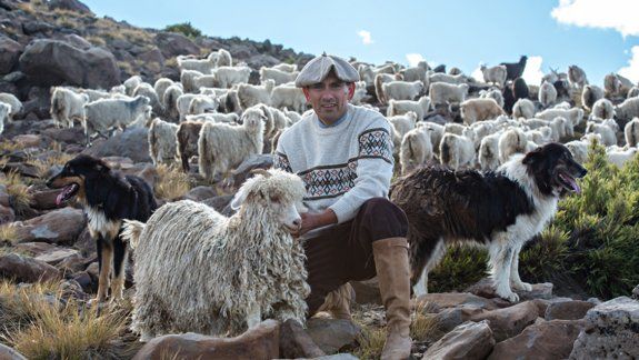 Crianceros locales salen a pelearle al fast fashion