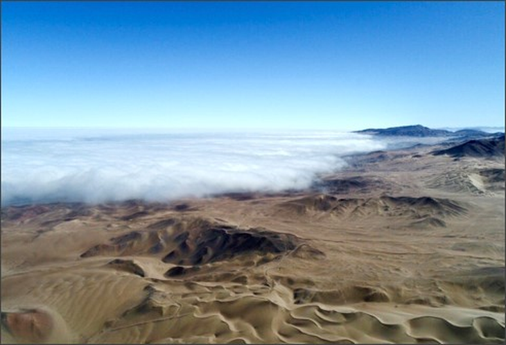 Gracias a la niebla se han cultivado limoneros con éxito, y se exploran otros cultivos como frutillas, tomates y albahaca. Foto: Centro UC Desierto de Atacama