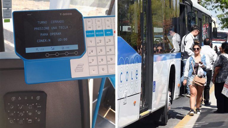 El pasaje de cole todavía es gratis: ¿por qué y hasta cuándo?