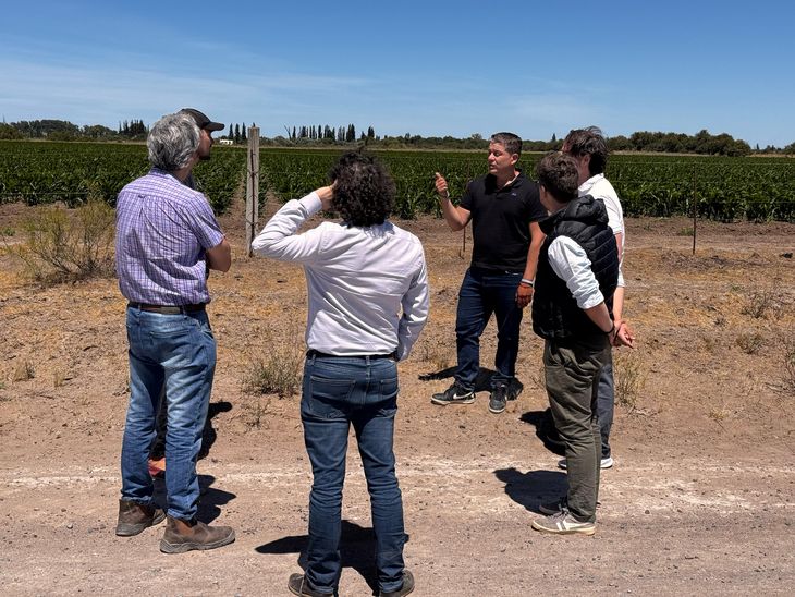 Proyectos segmentados en etapas permiten desembolsos escalonados y avances graduales sin esperar aprobación total. Proyectos segmentados en etapas permiten desembolsos escalonados y avances graduales sin esperar aprobación total.