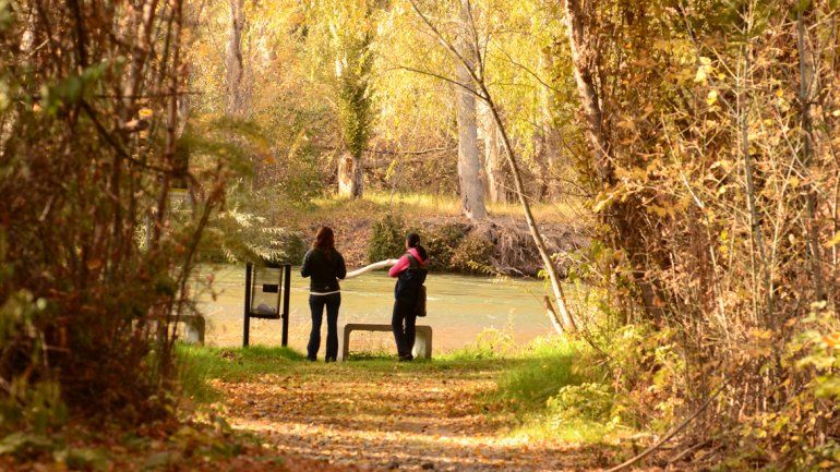 El objetivo es proteger 15 hectáreas en la unión del Neuquén y el Limay.