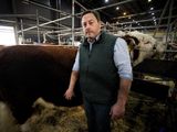 El propietario de la cabaña “La Txapela” junto a su toro en La Expo Rural 2023.