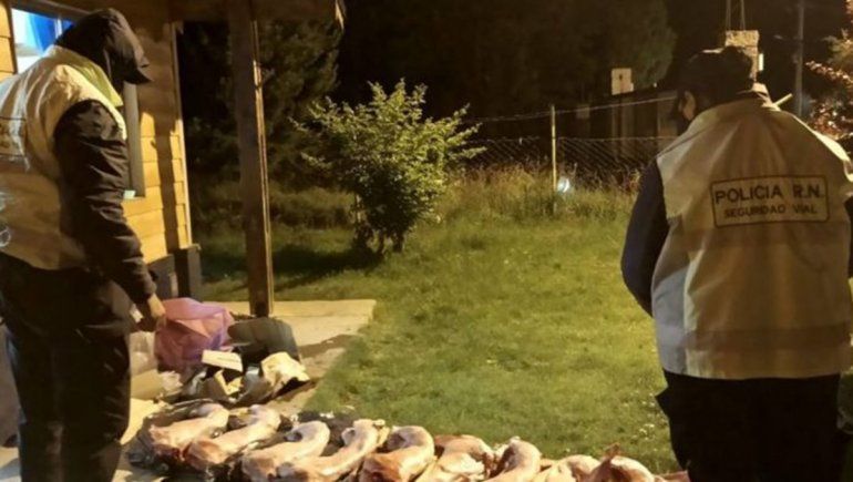 Ruta 40: lo detienen en un control y terminó en la comisaría con los chivos