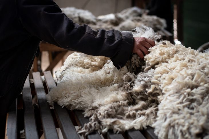 Es un trabajo calificado, de alta demanda física y estacional. Foto: INTA Es un trabajo calificado, de alta demanda física y estacional. Foto: INTA