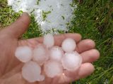 La cosecha de cereza se podría reducir un 50% tras la tormenta La cosecha de cereza se podría reducir un 50% tras la tormenta