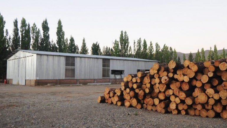 La Provincia invirtió otros 60 millones de pesos en el aserradero de Las Ovejas