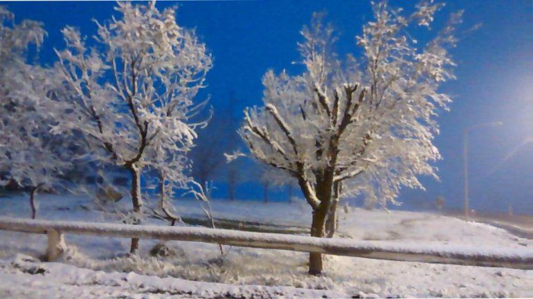 Una copiosa nevada sorprendió en Zapala