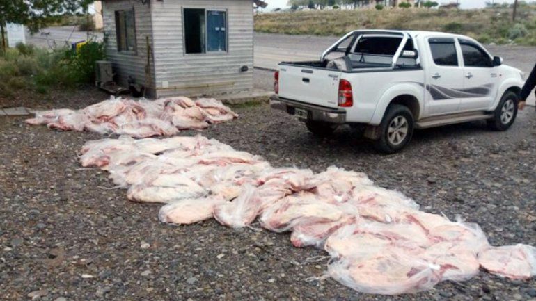 Los costillares se decomisaron en Catriel y tenían como destino Neuquén.
