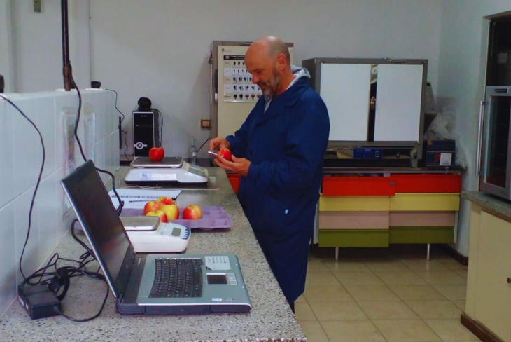  Tras 5 años, se caracterizaron nueve variedades de manzanos Foto: INTA. Tras 5 años, se caracterizaron nueve variedades de manzanos Foto: INTA.