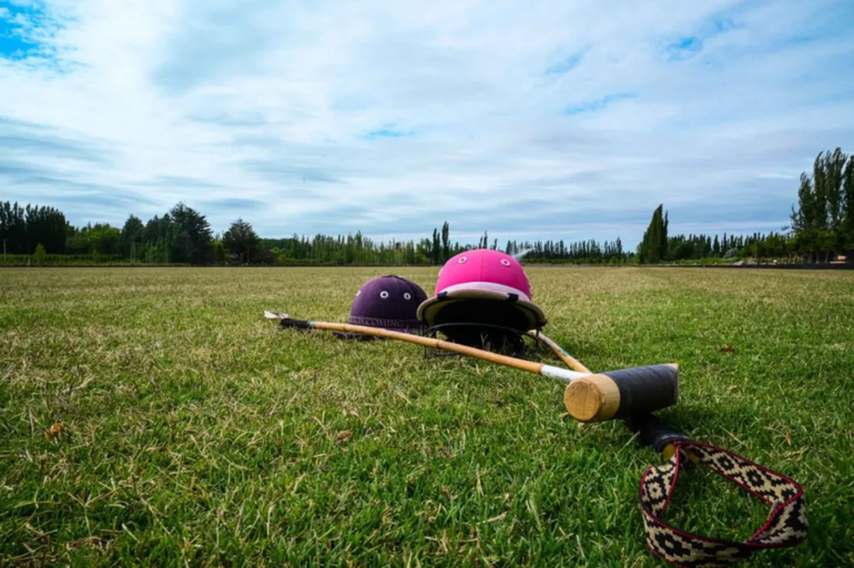 La original propuesta que combina vino, gastronomía y deporte en la Vendimia Neuquina