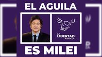 La campaña de Milei en Neuquén será simplificada: un águila, una peluca o un león en un paño violeta.