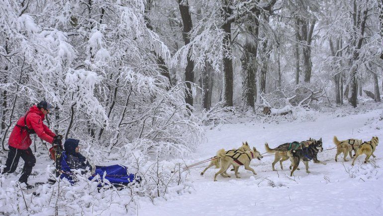 Nevó en San Martín, Chapelco reabrió pistas y espera a los esquiadores