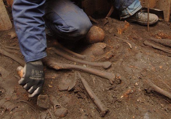 Los humanos sobrevivimos hace miles de años Los humanos sobrevivimos hace miles de años