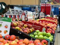 se mantienen firmes los precios de la manzana en europa se mantienen firmes los precios de la manzana en europa